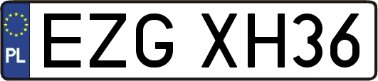 EZGXH36