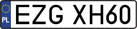 EZGXH60
