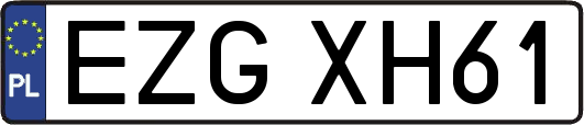 EZGXH61
