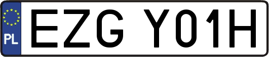 EZGY01H