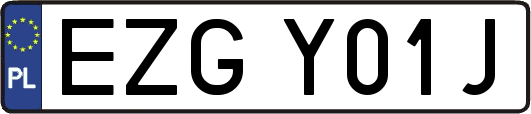 EZGY01J