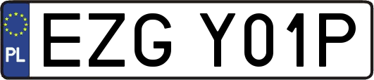 EZGY01P