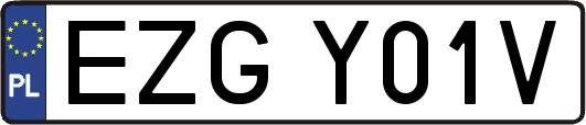 EZGY01V