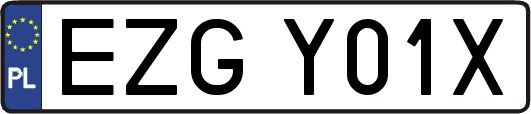 EZGY01X