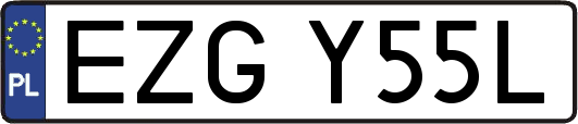 EZGY55L