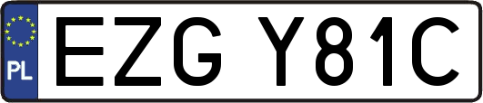 EZGY81C