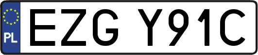 EZGY91C