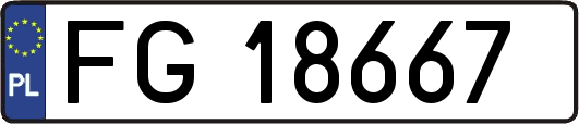 FG18667
