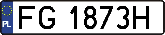 FG1873H