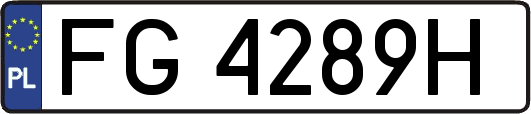 FG4289H