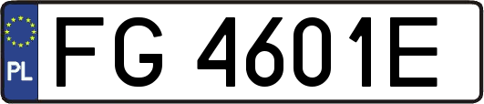 FG4601E