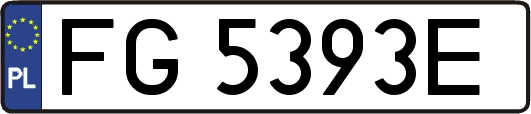 FG5393E