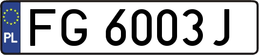 FG6003J