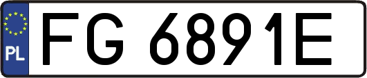 FG6891E