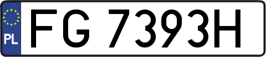 FG7393H