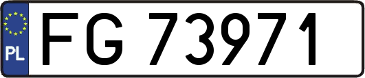 FG73971