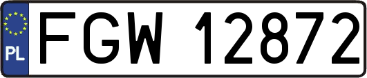 FGW12872