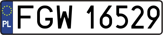 FGW16529