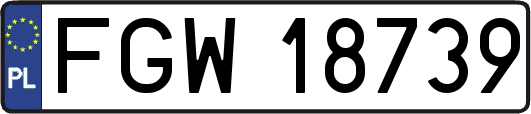 FGW18739