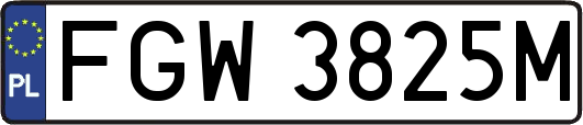 FGW3825M