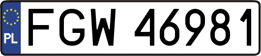 FGW46981
