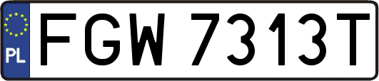 FGW7313T