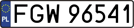 FGW96541