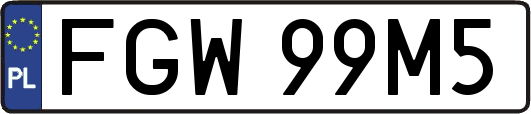 FGW99M5