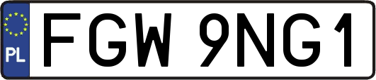 FGW9NG1