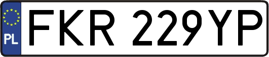 FKR229YP