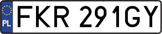 FKR291GY