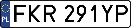 FKR291YP