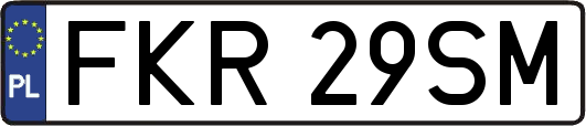 FKR29SM