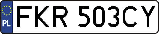 FKR503CY