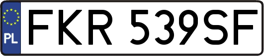 FKR539SF
