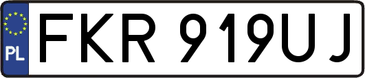 FKR919UJ