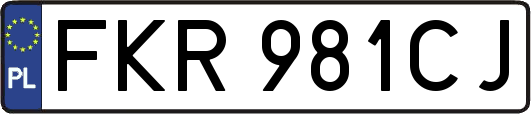 FKR981CJ