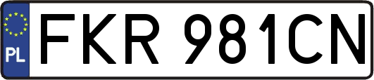FKR981CN