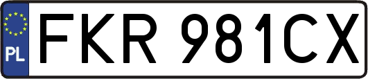 FKR981CX