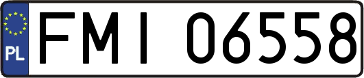 FMI06558