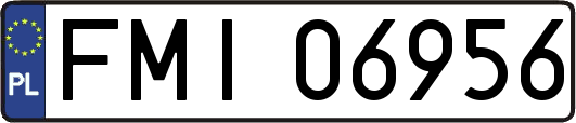 FMI06956