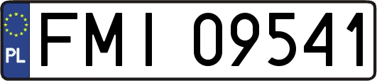 FMI09541