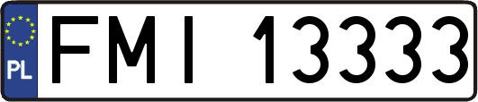 FMI13333