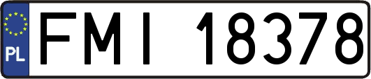 FMI18378