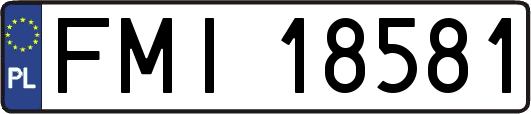 FMI18581