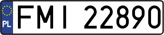 FMI22890
