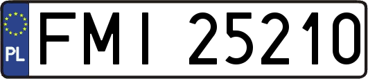 FMI25210