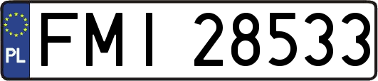 FMI28533