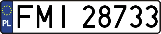 FMI28733