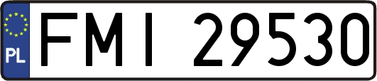 FMI29530